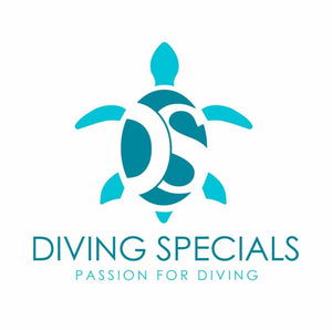 DS_Logo